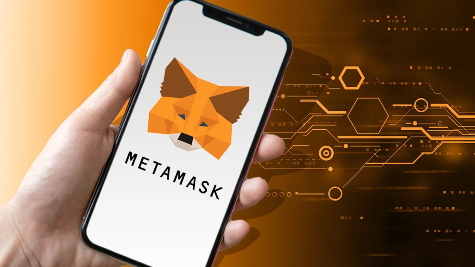 MetaMask Portfolio añade redes